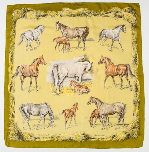 Rare foulard hermès - rare,